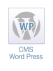 CMS Word Press