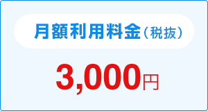 月額3000円